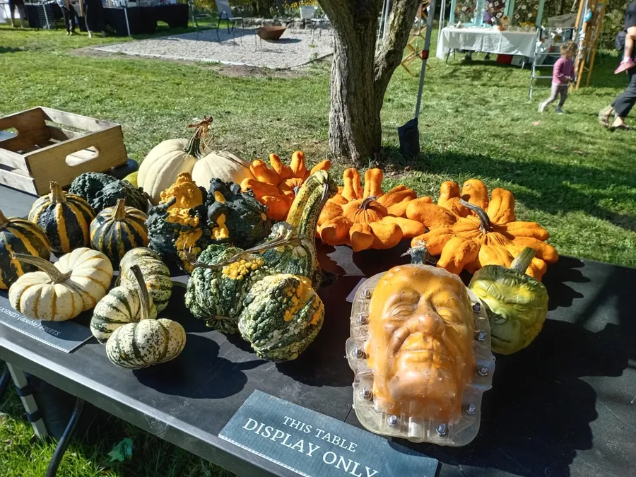 TArg de dovleci in Ontario.