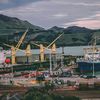 Comisia Europeană propune reducerea drastică a cotelor de pescuit la cod în Marea Baltică pentru 2027