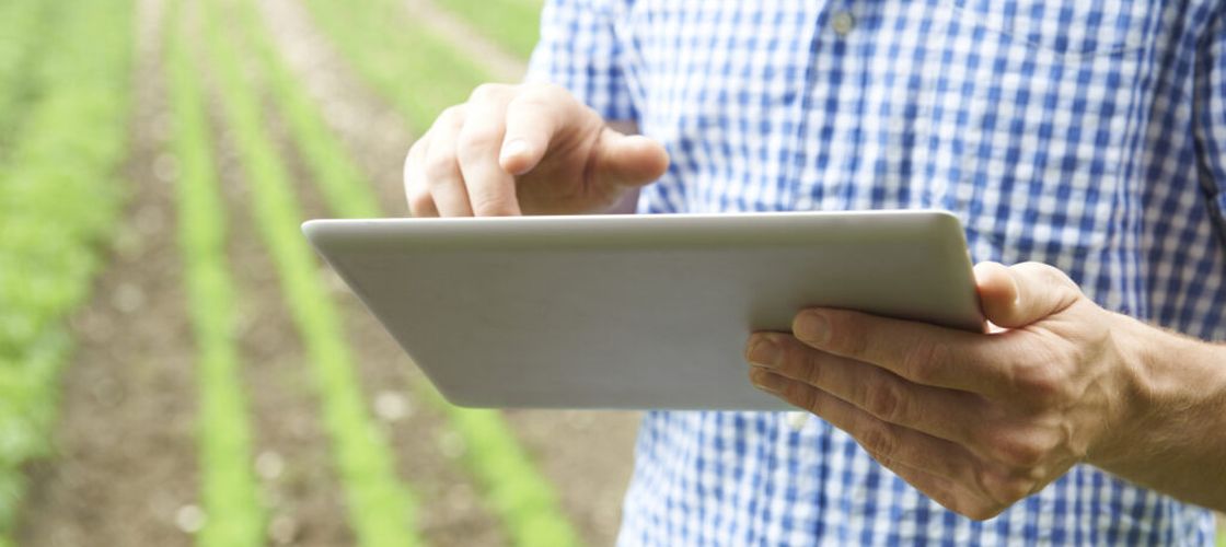 Guvernul înființează o nouă rețea de date pentru agricultură: sistem informatic integrat și fonduri de milioane de euro