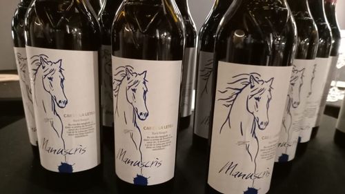 FOTO | Rara Neagră, soiul românesc „uitat” în țară, dar promovat intens de Republica Moldova / „Frații noștri de peste Prut, din 100 de hectare de Rară Neagră, vând anual în România, aproximativ 1,5 milioane de sticle”