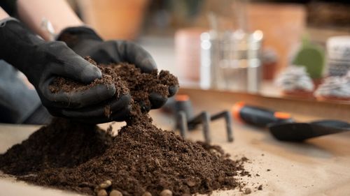 Cercetătorii australieni transformă produsele reziduale în îngrăşăminte fără emisii de carbon