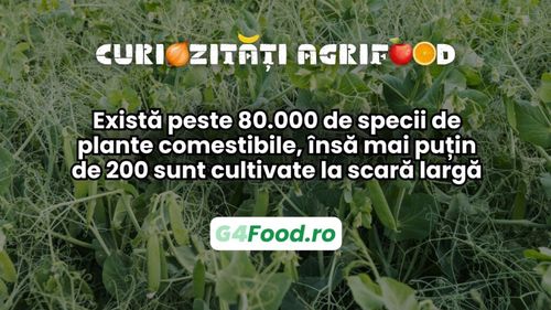 Curiozitate agri-food 17 martie: Există peste 80.000 de specii de plante comestibile, însă mai puțin de 200 sunt cultivate la scară largă
