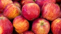 Soiul de mere de care fug americanii: „Aproape că a distrus industria merelor”. Un fermier explică ce s-a întâmplat cu fructul cândva extrem de popular