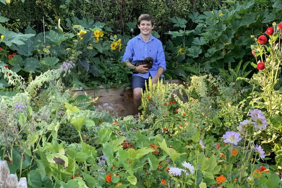 arthur-motte-gradinarit-urban-legume-bio-gradina-pe-balcon-agricultura-urbana-permacultura-gradina-bio-sustenabilitate-cultivarea-legumelor-hrana-sanatoasa-biodiversitate-gradinarit-pentru-incepatori-mica-mea-gradina-de-legume-bio-pe-15-metri-patrati-act-si-politon-legume-cultivate-acasa-autonomie-alimentara-gradinarit-ecologic-gradina-mica-productiva-mini-ferma-urbana-culturi-bio-pe-balcon-tineri-si-gradinarit-natura-si-hrana