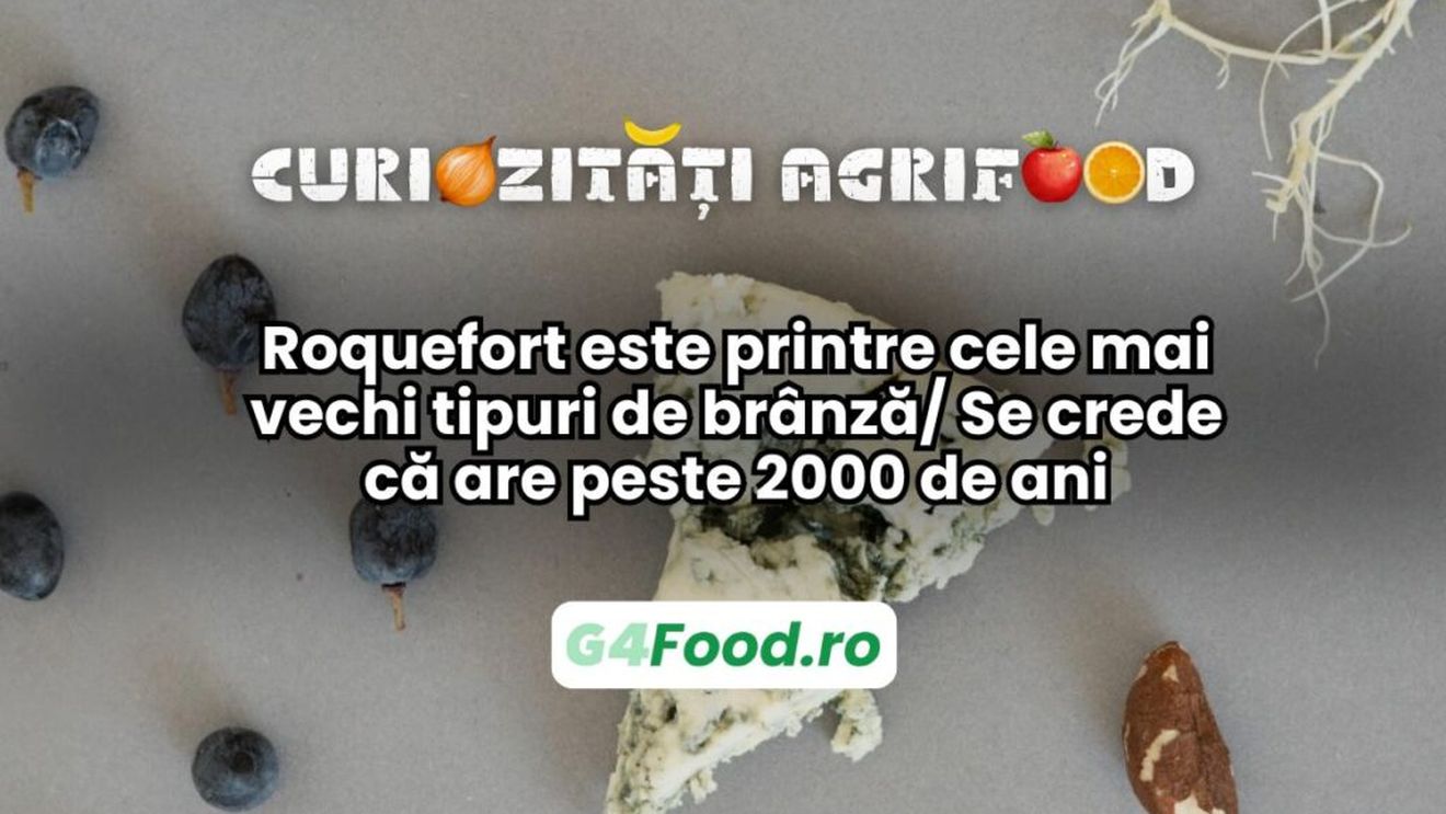 Curiozități agrifood - 22 mai | Roquefort este printre cele mai vechi tipuri de brânză/ Se crede că are peste 2000 de ani