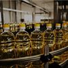Exporturile de ulei de rapiță din Ucraina explodează/ Venituri de peste 30 de ori mai mari, în primul trimestru din 2026