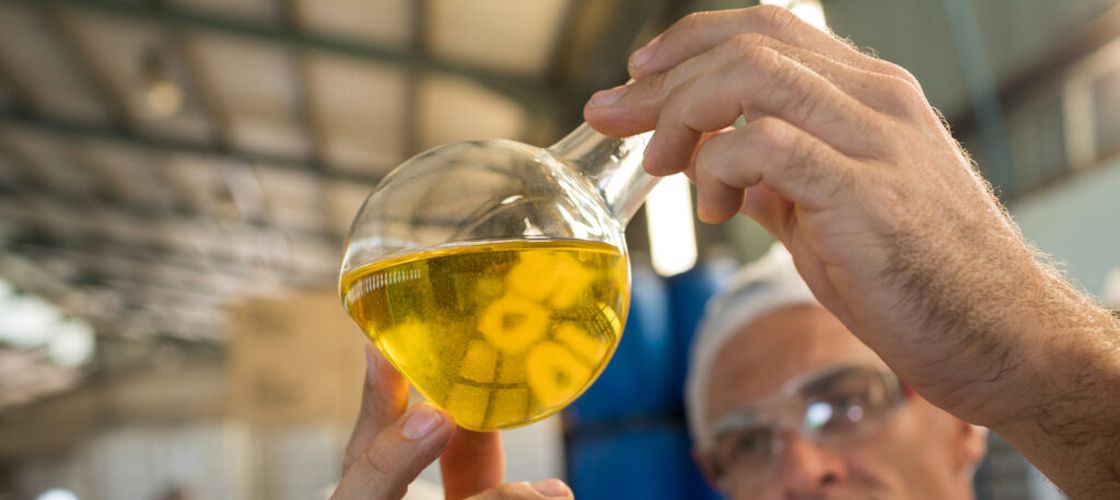 Biocombustibilii revin în atenția UE. Pot câștiga fermierii europeni din noua strategie energetică?