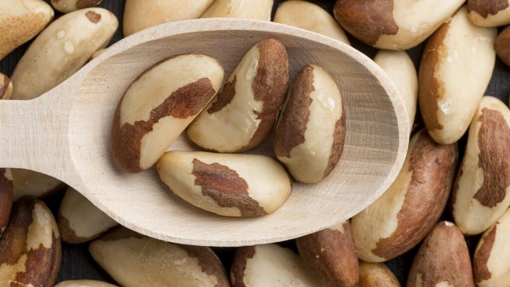 De ce să consumi nuci de Brazilia - semințele rare ale pădurii amazoniene - extrem de bogate în seleniu / Istorie și beneficii pentru sănătate