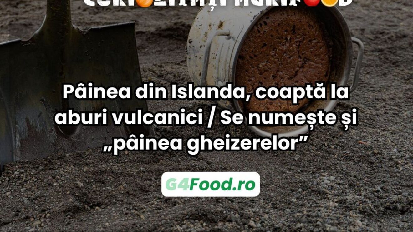 VIDEO Curiozități agrifood | Pâinea din Islanda, coaptă la aburi vulcanici / Se numește și „pâinea gheizerelor”