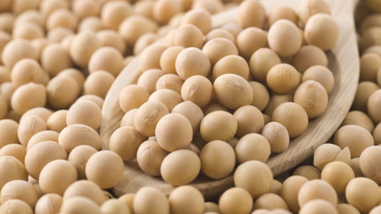 Comisia Europeană a autorizat astăzi utilizarea unei varietăți de soia modificată genetic în produsele alimentare și furaje. Nu a fost însă autorizată și cultura respectivului soi