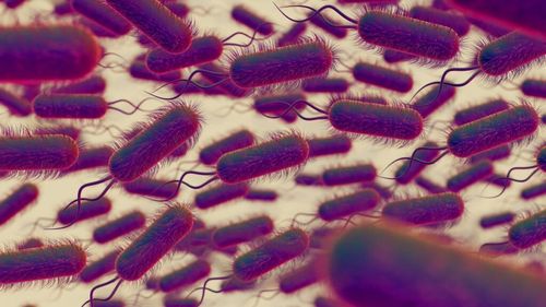 Pesticidele, inclusiv cele legale, alterează profund echilibrul florei intestinale, cu consecințe asupra sănătății încă insuficient înțelese, arată un nou studiu