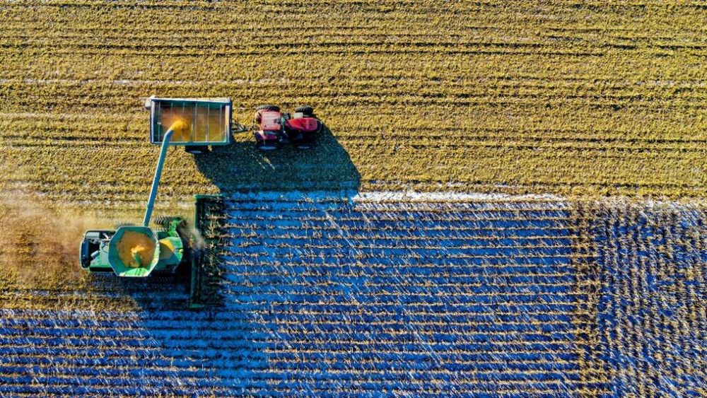 Alimentele devin mai calorice, dar mai puțin nutritive din cauza creșterii nivelului de dioxid de carbon, arată un studiu recent realizat de cercetători de la Universitatea Leiden din Olanda