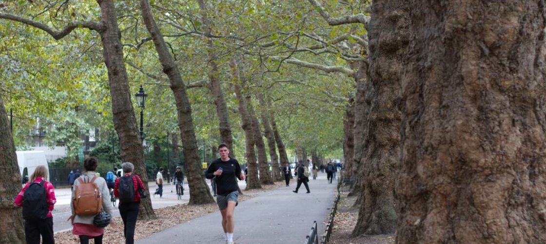 Europenii fac mai multă mișcare decât în urmă cu patru ani / A scăzut puternic numărul celor care nu fac niciodată sport