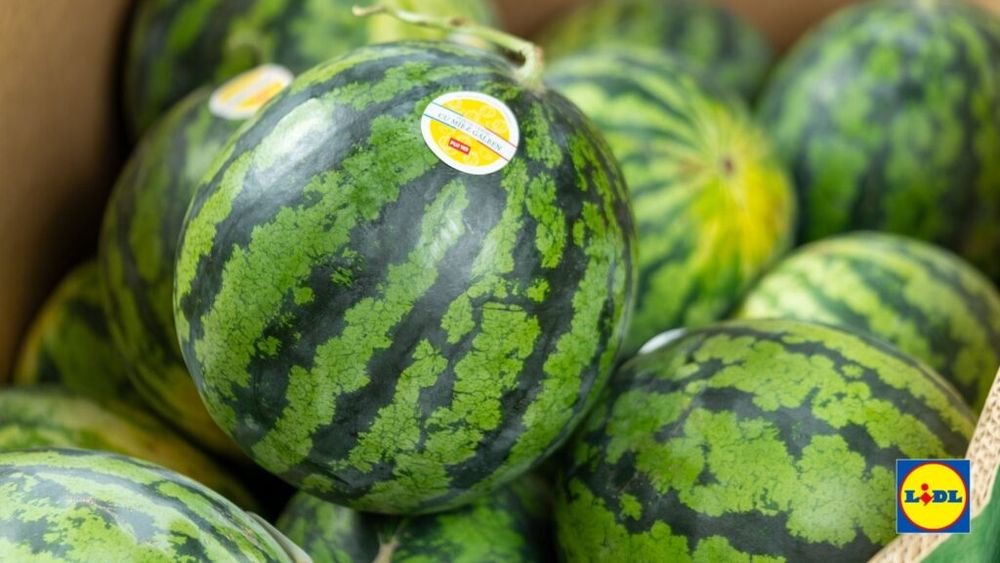 Producătorii locali au realizat exporturi de fructe românești în valoare de peste 2,1 milioane de euro în vara anului 2025, prin intermediul Lidl