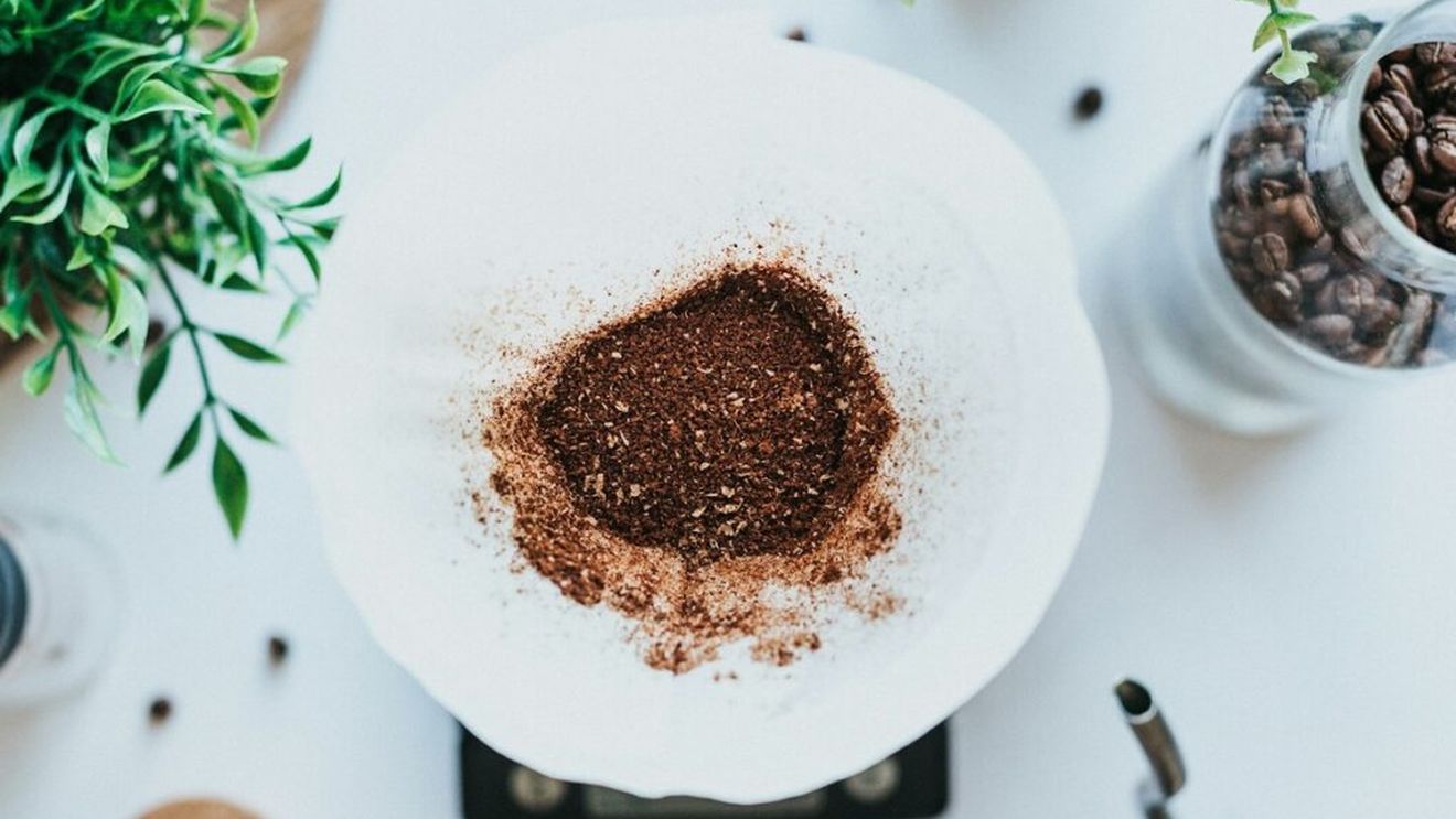 STUDIU: Zațul de cafea ar putea fi răspunsul la contaminarea agriculturii cu un erbicid utilizat frecvent / Se estimează că șase milioane de tone de zaț sunt aruncate anual