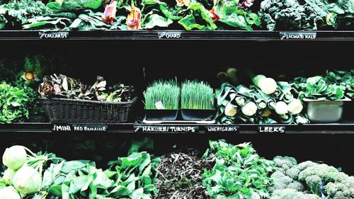 Alimentele cele mai bogate în vitamine și minerale/Sunt cele mai bune surse de nutrienți