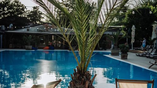 Relaxare urbană: 3 restaurante cu piscină din București pentru zile toride