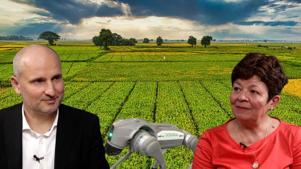 VIDEO | Agricultura în schimbare: În era agriculturii de precizie, Gabriel Stoian revoluționează testarea culturilor cu ajutorul unui „agridog” – un câine electronic capabil să analizeze solul și sănătatea plantelor