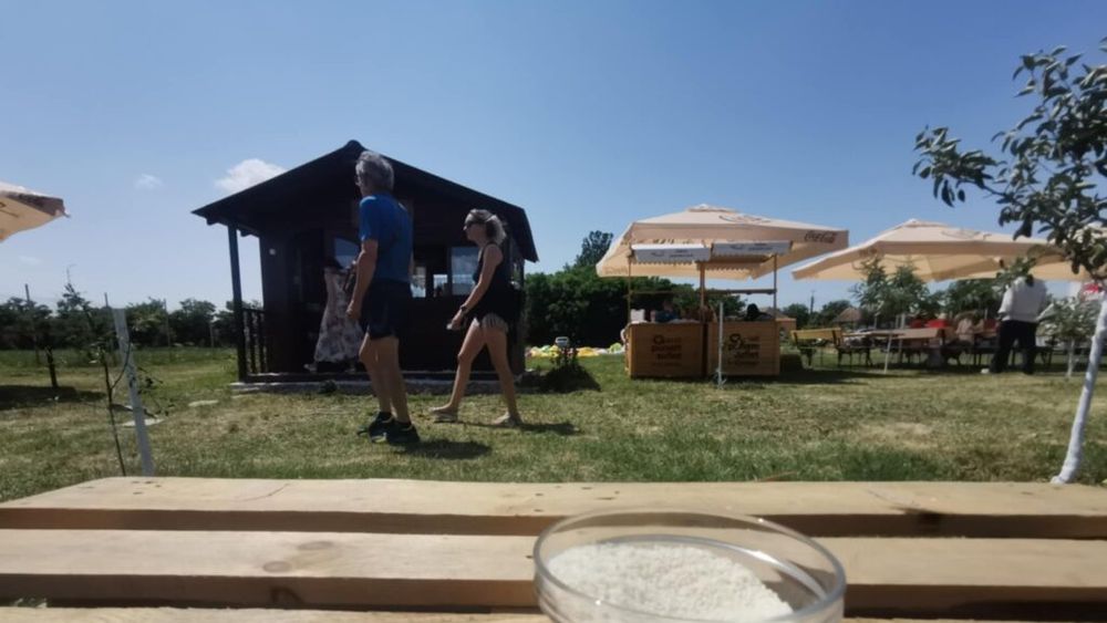 Festivalul Orezului revine la Partoș, localitatea unde a funcționat prima orezărie de pe teritoriul actual al României / Organizator: „Vom avea și varză cu orez. Este una dintre noutățile ediției din acest an”