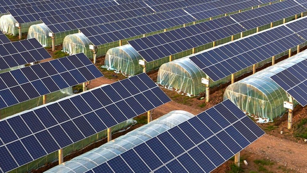 Fermele viitorului: produc hrană și curent electric pe același teren / Dr.ing. Dragoș Ofrim: „Agricultura e domeniul cel mai recomandat pentru energie solară” / Cum funcționează conceptul de „agrivoltaics”