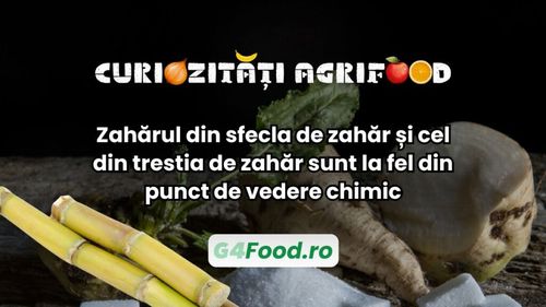 Curiozități agri-food: Zahărul din sfecla de zahăr și cel din trestia de zahăr sunt la fel din punct de vedere chimic / Diferența e doar la gust