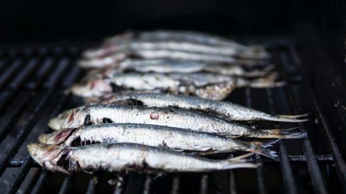 Pescarii scoțieni plătesc prețul Brexit: vând tot mai greu pe piața europeană, peștele li se strică în camioanele oprite în vămile de la frontiera U.E.