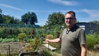 GALERIE FOTO | De la roșiile bunicilor la agricultura de pe YouTube: cum au renăscut grădinile urbane ale Timișoarei