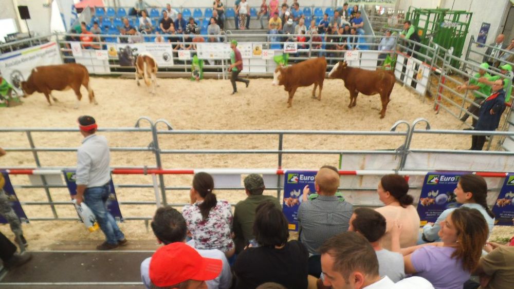 Târguri internaționale cu profil agro-alimentar, anulate sau amânate din cauza epidemiei de coronavirus ( CO-VID 19 )