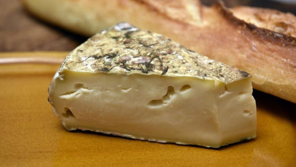 Val de toxiinfecții alimentare în Franța, din cauza bacteriei Salmonella/Autoritățile au identificat ca sursă brânzeturile din lapte de vacă produse la o fabrică din departamentul Cantal