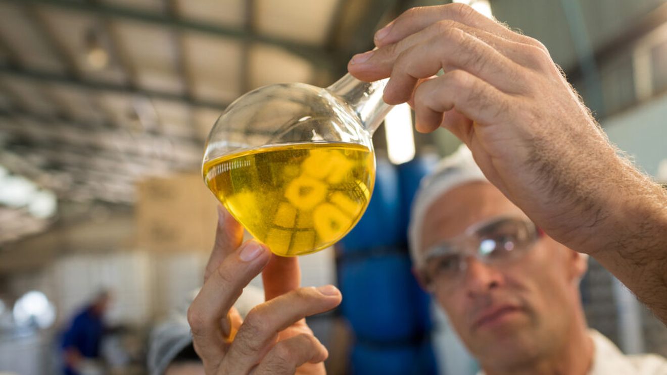 Biocombustibilii revin în atenția UE. Pot câștiga fermierii europeni din noua strategie energetică?