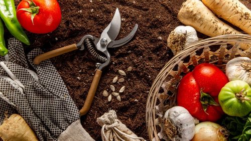 România încheie anul cu un deficit agroalimentar de 3,47 miliarde de euro / Oficialii cer reforme urgente în agricultură