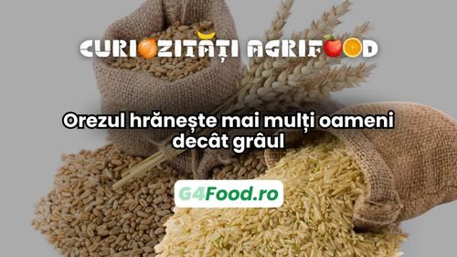 Curiozități agri-food 20 februarie: Orezul hrănește mai mulți oameni decât grâul / Aproape jumătate din populația globului depinde de acest aliment