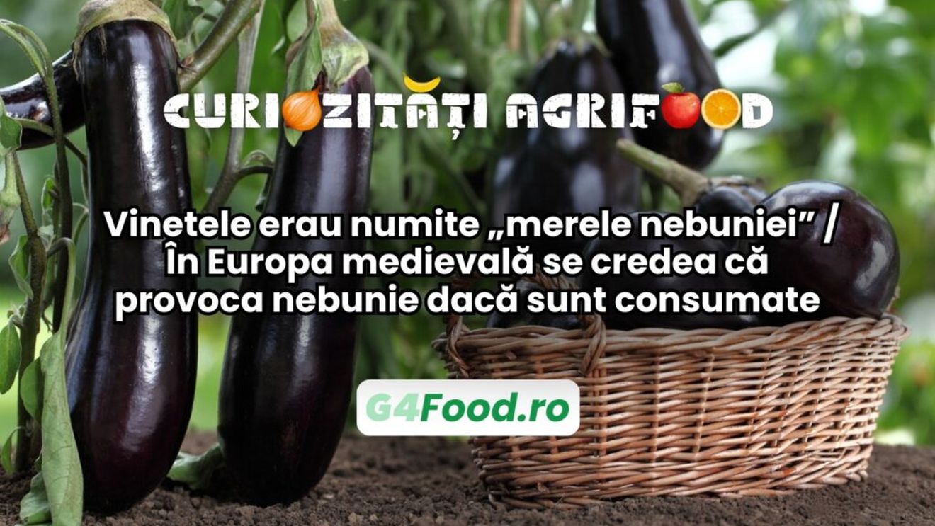 Curiozități agri-food 20 decembrie / Vinetele erau numite „merele nebuniei” / În Europa medievală se credea că provoca nebunie dacă sunt consumate