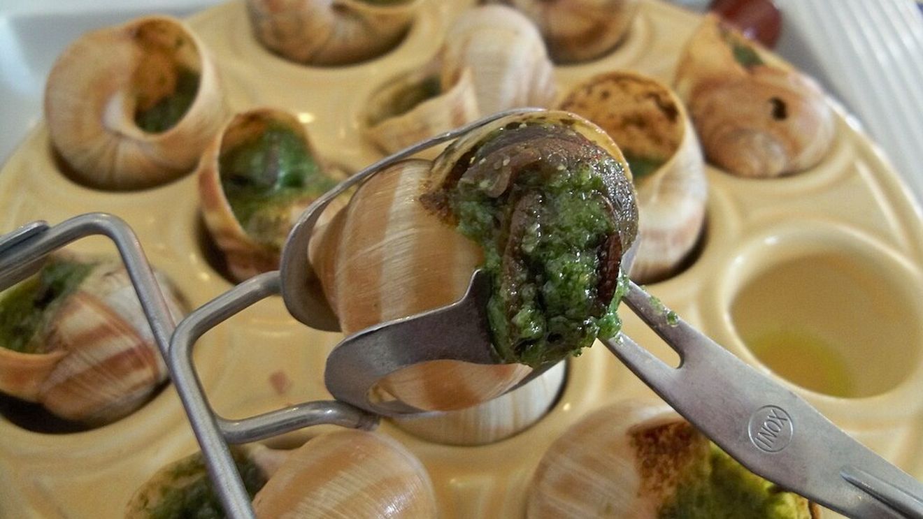 Un japonez pare să fi realizat imposibilul: A devenit primul crescător din lume de melci de livadă