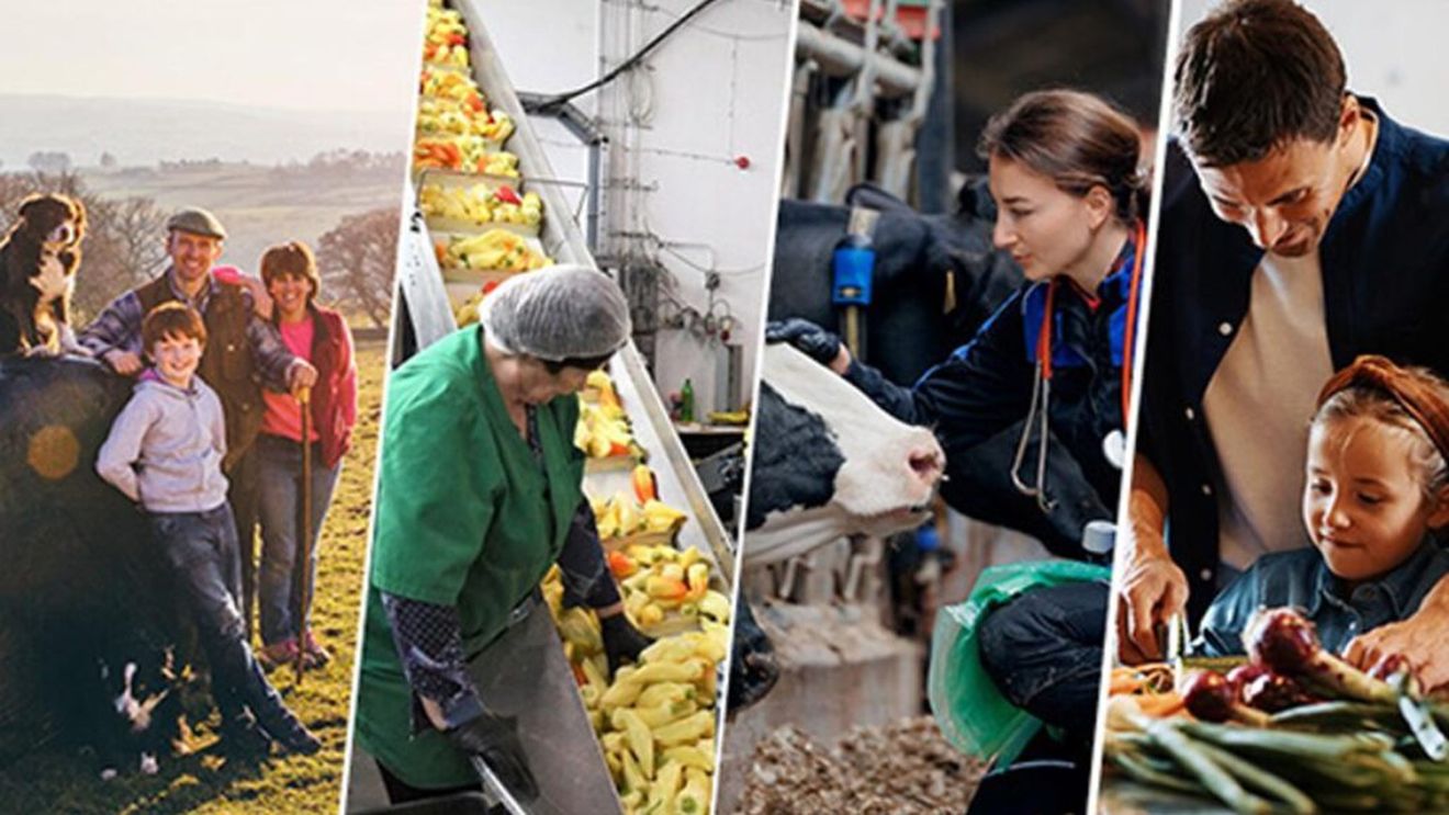 Comisia Europeană înființează Consiliul European pentru Agricultură și Alimentație / Prima reuniune va avea loc pe 4 februarie