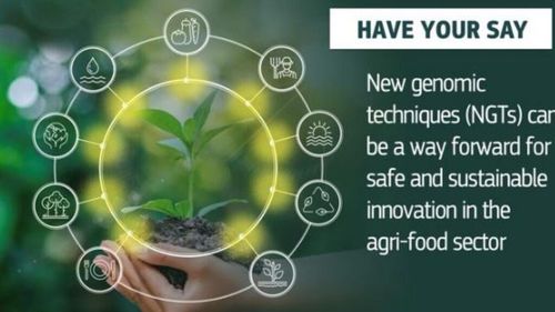 Dezbateri aprinse în Europa: Culturile modificate genetic, șansă sau risc pentru agricultura viitorului?/ Ce ar trebui să știe fermierii!  