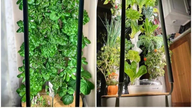 VIDEO | Sistemul de cultivare verticală în interior pe care să-l pui în bucătărie. Poate include 30 de tipuri de plante în același timp