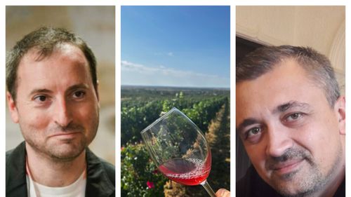 Analiză | Eliminarea facilităților din agricultură agravează criza deja existentă în viticultură. Bogdan Pleșoianu: „Ne afectează pentru că ne cresc costurile pe partea de salarii” / Bogdan Anghel: „Asta ar mai lipsi: să ne taxeze cu încă o taxă de stâlp!”