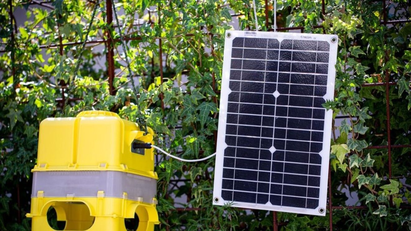 SpyFLy, o capcană inteligentă, bazată pe un algoritm AI, care capturează dăunătorii din culturile agricole