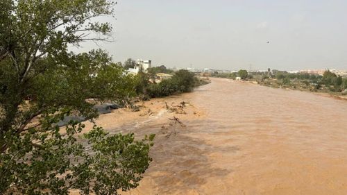 Agricultorii spanioli o reclamă la Comisia Europeană pe Teresa Ribera, candidată din partea Spaniei pentru postul de vicepreședinte executiv al Tranziției Curate, Juste și Competitive și comisar european pentru Concurență/ Modul în care aceasta a acționat în timpul furtunii care a afectat Spania a nemulțumit persoanele afectate