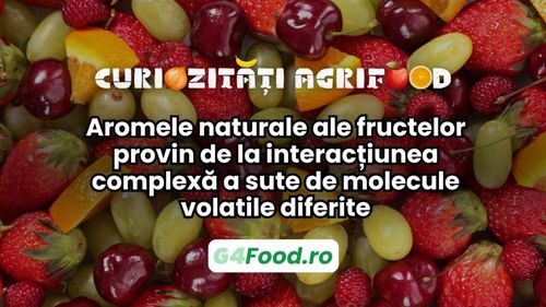 Curiozitate agri-food: Aroma fructelor provine de la interacțiunea complexă a sute de molecule volatile diferite / De ce fructele și legumele din supermarket nu mai miros „ca pe vremuri”
