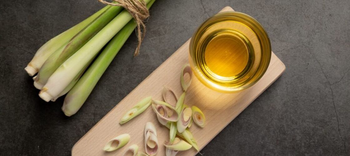 Plantele aromatice care te ajută să ții păienjenii și muștele la distanță. Trucuri pentru perioada de vară