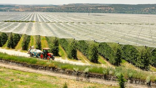 Turism și mere | Ruta mărului de Soria pe cea mai mare plantație din Europa/ Are peste 1000 de ha și 2.340.000 de pomi/ Anual se produc 195 de milioane de mere | FOTO - VIDEO