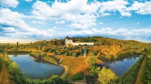 ANALIZĂ | Valul de consolidări ajunge în vinul românesc: ce înseamnă preluarea SERVE de către Purcari și de ce piața începe să se schimbe