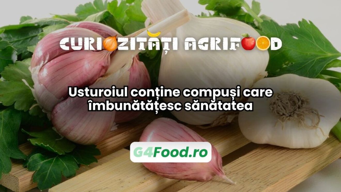 Curiozități agri-food 03 ianuarie: Usturoiul conține compuși care îmbunătățesc sănătatea