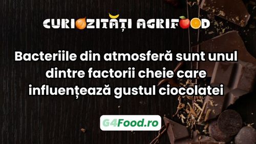 Curiozități agrifood: Bacteriile din atmosferă sunt unul dintre factorii cheie care influențează gustul ciocolatei