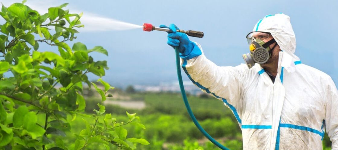 Substanță chimică utilizată pe scară largă, asociată cu riscul de Parkinson / Studiu amplu indică o creștere semnificativă a pericolului