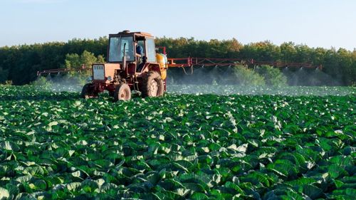 Jabbar Kanani, antreprenor în agricultură: Trebuie să înlocuim granturile în agricultură cu investiții strategice. Un fond de investiții regional ar ajuta producătorii locali cu capital și know-how