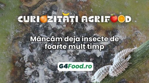 Curiozități agrifood - 29 iulie: Mâncăm deja insecte de foarte mult timp, inclusiv din coloranții alimentari
