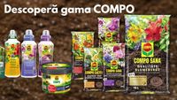 COMPO în România, prin Verdon